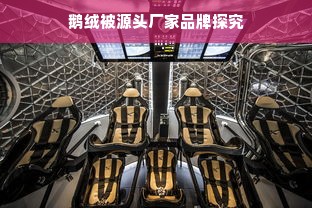 鹅绒被源头厂家品牌探究