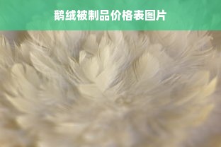 鹅绒被制品价格表图片