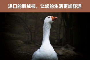 进口的鹅绒被，让您的生活更加舒适