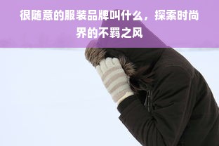 很随意的服装品牌叫什么，探索时尚界的不羁之风