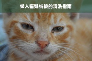 懒人猫鹅绒被的清洗指南