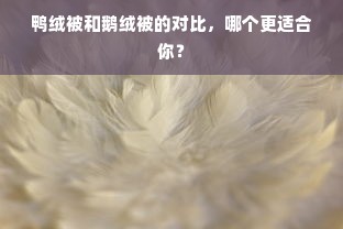 鸭绒被和鹅绒被的对比，哪个更适合你？