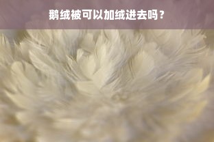 鹅绒被可以加绒进去吗？