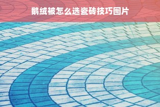 鹅绒被怎么选瓷砖技巧图片