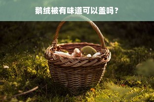 鹅绒被有味道可以盖吗？