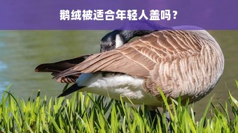 鹅绒被适合年轻人盖吗？