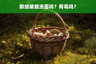 鹅绒被能洗面吗？有毒吗？