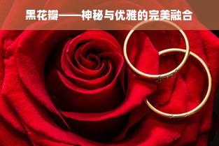 黑花瓣——神秘与优雅的完美融合