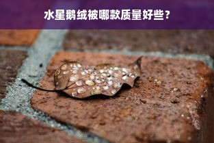 水星鹅绒被哪款质量好些？