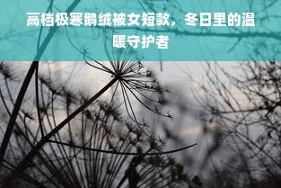 高档极寒鹅绒被女短款，冬日里的温暖守护者