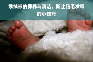 鹅绒被的保养与清洁，防止钻毛发霉的小技巧