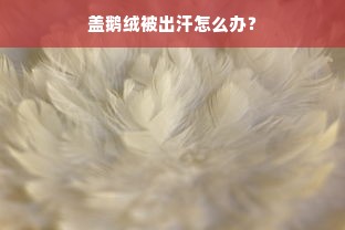 盖鹅绒被出汗怎么办？