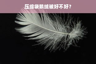 压缩袋鹅绒被好不好？