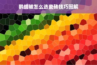 鹅绒被怎么选瓷砖技巧图解