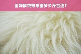 山姆鹅绒被总重多少斤合适？