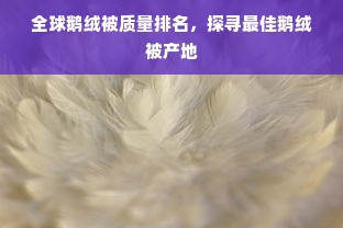 全球鹅绒被质量排名，探寻最佳鹅绒被产地