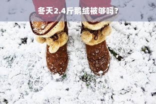 冬天2.4斤鹅绒被够吗？