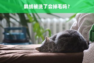 鹅绒被洗了会掉毛吗？