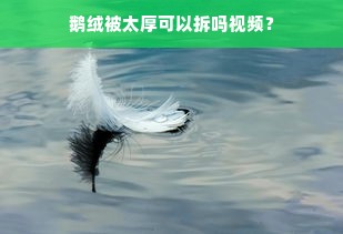 鹅绒被太厚可以拆吗视频？