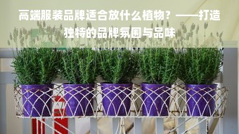 高端服装品牌适合放什么植物？——打造独特的品牌氛围与品味