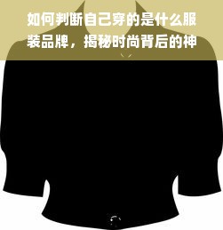 如何判断自己穿的是什么服装品牌，揭秘时尚背后的神秘力量