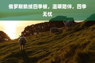 俄罗斯鹅绒四季被，温暖陪伴，四季无忧