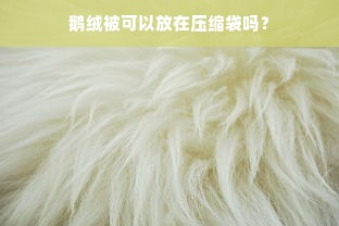 鹅绒被可以放在压缩袋吗？