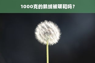 1000克的鹅绒被暖和吗？