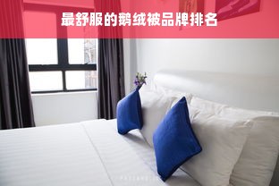 最舒服的鹅绒被品牌排名