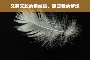 又轻又软的鹅绒被，温暖我的梦境