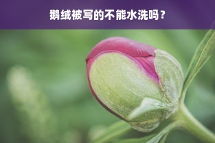 鹅绒被写的不能水洗吗？