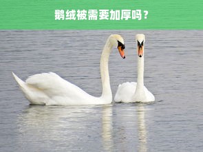 鹅绒被需要加厚吗？