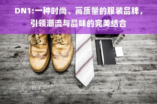 DN1:一种时尚、高质量的服装品牌，引领潮流与品味的完美结合