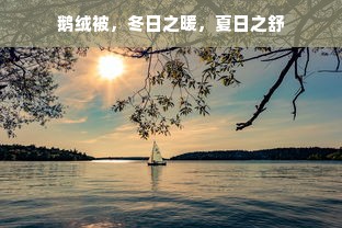 鹅绒被，冬日之暖，夏日之舒