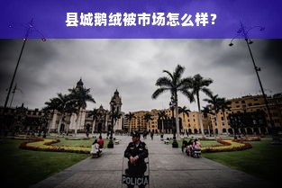 县城鹅绒被市场怎么样？