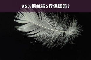 95%鹅绒被5斤保暖吗？