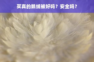 买真的鹅绒被好吗？安全吗？