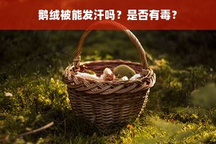 鹅绒被能发汗吗？是否有毒？