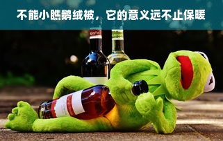 不能小瞧鹅绒被，它的意义远不止保暖