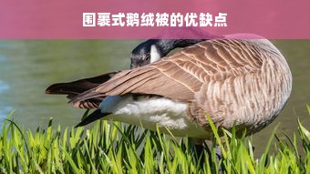 围裹式鹅绒被的优缺点