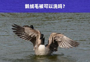 鹅绒毛被可以洗吗？