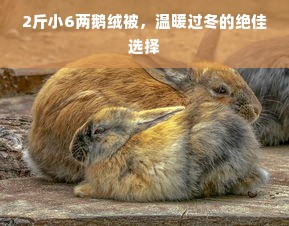 2斤小6两鹅绒被，温暖过冬的绝佳选择