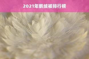 2021年鹅绒被排行榜