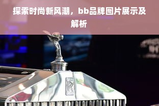 探索时尚新风潮，bb品牌图片展示及解析