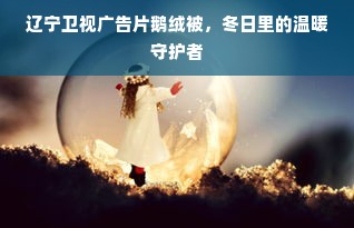 辽宁卫视广告片鹅绒被，冬日里的温暖守护者