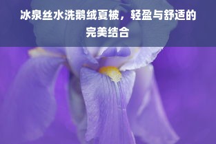 冰泉丝水洗鹅绒夏被，轻盈与舒适的完美结合