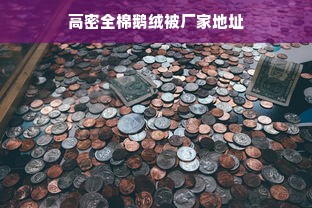 高密全棉鹅绒被厂家地址