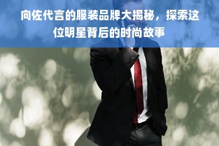 向佐代言的服装品牌大揭秘，探索这位明星背后的时尚故事