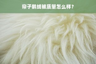 帘子鹅绒被质量怎么样？