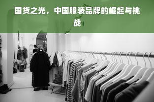 国货之光，中国服装品牌的崛起与挑战